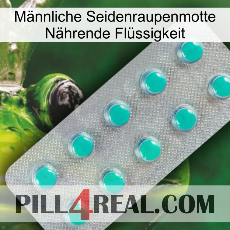 Männliche Seidenraupenmotte Nährende Flüssigkeit 28